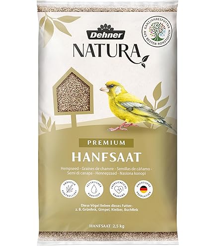 Hyfive Mangeoire Pour Oiseaux Sauvages Avec Plateau à Graines à