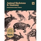 Animal Skeletons and Anatomy: An Image Archive for Artists and Designers