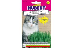 GRAINES HUBERT SEMENCES & ENGRAIS MAIROL Herbe à Chat - Orge - 20 grammes