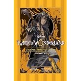Disney Twisted-Wonderland: Usurper from the Wilds: The Novel