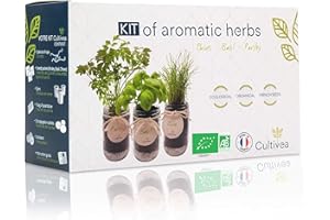 Cultivea® Kit cultivo hierbas aromáticas BIO – Albahaca, Perejil y Cebollino – Huerto urbano interior con tarros de cristal y tierra – Regalo sostenible – Mini huerto cocina ecológico