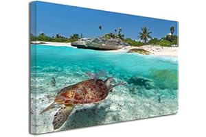 DECLINA Tableau Tortue Marine - Impression Photo Paysage sur Toile décoration Murale - Déco Maison, Cuisine, Salon, Chambre Adulte - 50x30 cm