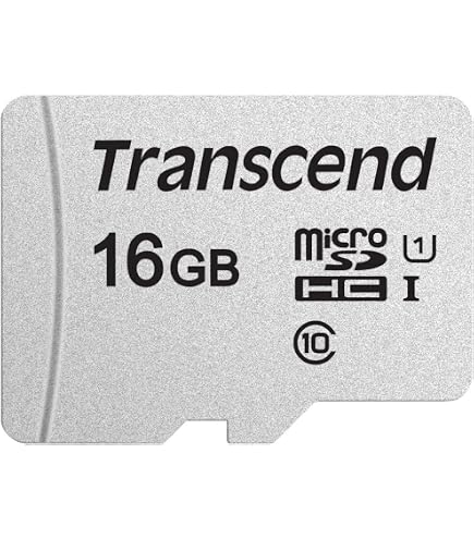INTEGRAL Micro Sdhc 16 Gb Classe 10