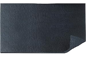 WENKO Filtro de olores de carbón activo - Filtro para campanas extractoras contra los olores de la cocina, Poliéster, 57 x 47 cm, Negro