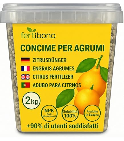 Seme Prato TURBO Crescita Rapidissima FLORTIS