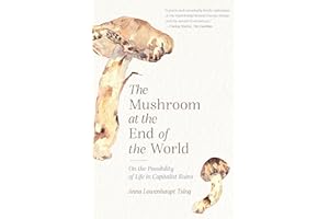The Mushroom at the End of the World: On the Possibility of Life in Capitalist Ruins