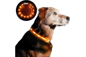 Anicoll LED Leuchthalsband Hunde Halsband USB wiederaufladbar - Längenverstellbarer Haustier Sicherheit Kragen für Hunde und Katzen- 4 Modus 12 Lichte