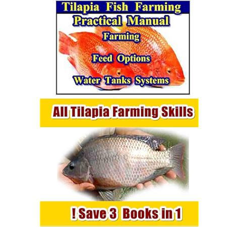 Tilapia Fish Farming Farming Feed Options Tanks Water Systems 3