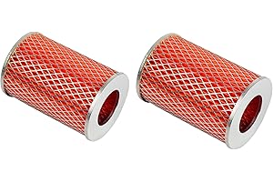 HUAWELL 2 Pack Go-Kart Element 150cc Luftfilter GY6 Motor Kanister Hammerhead 150SS 150GT GTS150 6.000.151 Carter 5133021