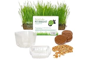 The Cat Ladies Erba per Gatti da Interno - Confezione da 3 - Kit Completo con Semi da Piantare Terriccio e Vaschette - Facile e Veloce da Crescere - Piante per Gatti da Casa