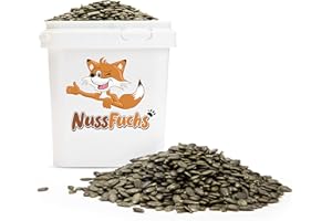 NUSSFUCHS Kürbiskerne geschält 3,5kg | grün, ungesalzen, naturbelassen, roh im Eimer – ohne Schale | Premiumqualität in Rohkostqualität zum Backen, Snacken, Kochen