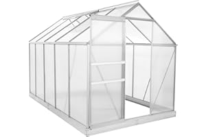 Zelsius Aluminium Gewächshaus mit Fundament 310 x 190 cm | 6 mm Hohlkammerplatten, UV-beständig, Winterfest | Treibhaus, Pflanzenhaus, Tomatenhaus, Frühbeet, Anbau Gewächshaus, Tomatengewächshaus