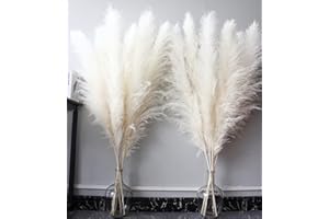 Bannifll 116cm 10 Tallos de Pampa Blanca Decorativa Alta, Plantas Secas, Flores Naturales Secas para Bodas, Decoración Natural para el Hogar, Hierba de Pared, Decoración Glamurosa