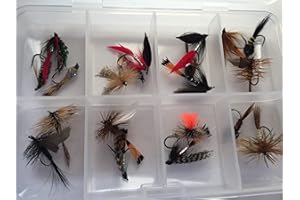 BestCity Fliegenfischen für Forellen und Döbel, ohne Widerhaken, gemischte Auswahl, 20 Fliegen im Set, trocken und nass, NYMPH frei, Clipverschluss, #302