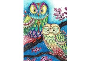 VETPW DIY 5D Pareja de Búhos Diamante Pintura Kit, Bricolaje Diamond Pasted Painting Kit Completo Bordado De Punto De Cruz Diamante Arts Craft para Decoración de la Pared del Hogar (30x40CM)
