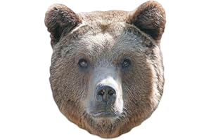 STAR CUTOUTS Ltd - Maschera per bambini in cartone, motivo: orso, multicolore