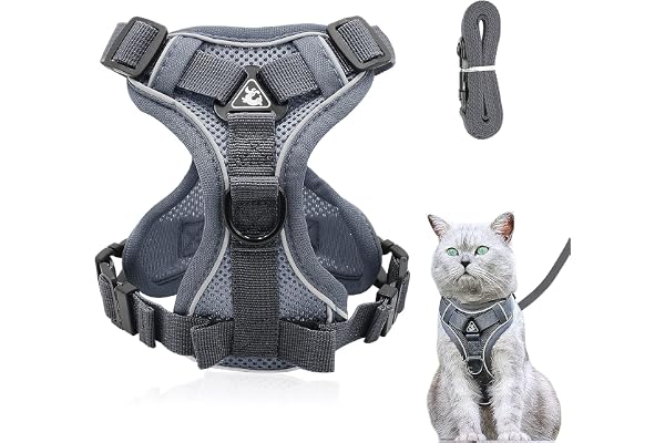 Harnais réglable anti-éclatement pour chat avec laisse - Harnais souple pour chat - Gris M de Grantop