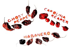 JNHCD 5x carolina reaper 5x naga bhut jolokia ghost pepper 5x habanero pods GUINNESS WORLD RECORD il peperoncino intero più piccante del mondo essiccato