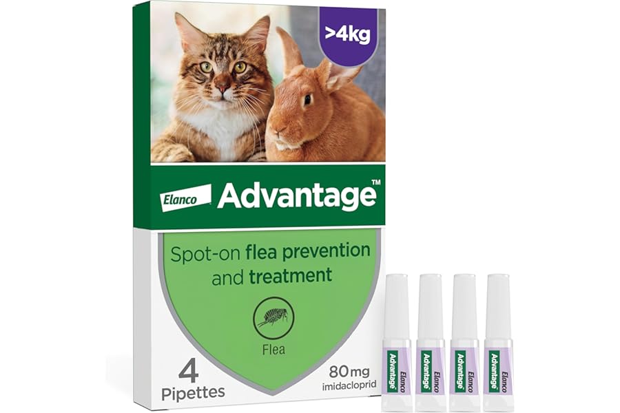 Advantage Spot On Flea Treatment For Large Cats and Rabbits Over 4kg (4 pipettes, 80mg), Kills Fleas Within 24 Hours, Prevents Further Infestation For Up To Four Weeks in Cats