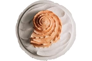 Biodegradable Urn for Human Ashes (Oceanside Shell Coral) Water Burial Urn, Urn Floats in Water, Urn for Cremation, Ocean Water Scattering Urn for Ashes, Floating Urn, Earth Memorials, Large W-305