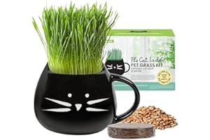 The Cat Ladies Erba per Gatti da Interno - Kit di Coltivazione - con Semi Terriccio e Fioriera a Forma di Tazza - Snack Naturale per Gatti - Aiuta la Digestione Contro Boli di Pelo