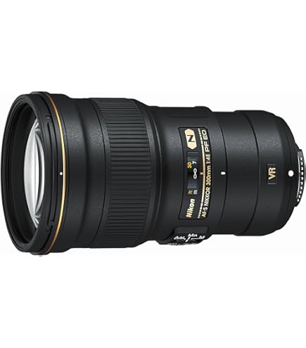 Nikon AF-S NIKKOR 300mm f/4D IF-ED Lens: Amazon.co.uk: Electronics