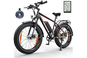‎VIPDRIVE Vipdrive E Bike Herren Elektrofahrräder-Ebike mit 48V 13Ah Batterie, Fatbike 24 * 4.0 Zoll, 5 PAS-Modus, 7-Gang Getriebe mit LCD-Display, 3 Fahrmodi, 250W Motor & 25 km/h, Reichweite bis zu 100km