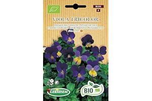 Germisem Bio Graines Pensée sauvage