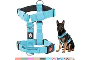 TSPRO Pettorina Cane Taglia Media-Grande, No Pull, Imbracatura per Cani Resistente con Fibbie a Sganci Rapidi e Maniglia, Regolabile e Comoda per Passeggiate (Blu, L)