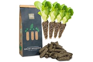 Hydroponics Sponge Grow Sponges [Pack of 50] – Organic, Sustainable, USA-Made AeroGarden Compatible Refill Sponges – 100% Coco Coir Seed Sponges – Urban Leaf Garden Sponges with Seed Divots