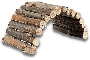 CareStarz Natural Living Bridge 22 x 10 cm, Décor as Hamster Ladder, Hamster bridge, Tortoise Toys for a Real Tortoise, Guinea Pig, Chinchillas