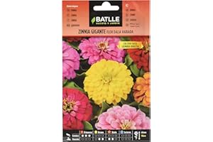 Semillas Batlle - Zinnia GIGANTE flor DALIA vda