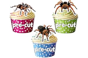 AK GIFTSHOP Lot de 12 décorations comestibles pour cup cake Araignée tarantule