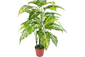 Leaf 100 cm Duży lis Aglaonema (Cętkowany Evergreen) Drzewo Sztuczna Roślina, Mieszane Materiały, Zielony