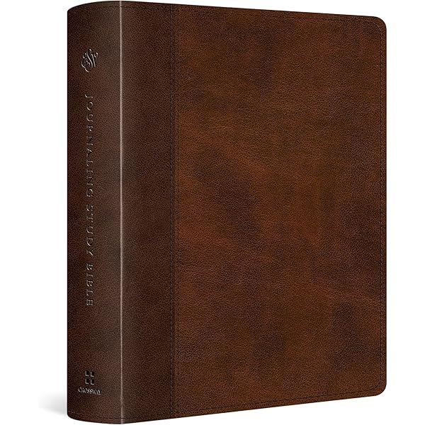 ESV Single Column Journaling Bible, Large Print: English Standard