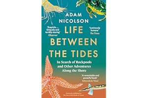 Life Between the Tides: In Search of Rockpools and Other Adventures Along the Shore