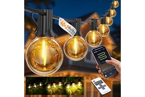 Outdoor String Lights Mains Powered-33.3 M/109.3FT G40 LED Gazebo Light with Plug, APP & Remote Dual Control, Timer & Dimmabl