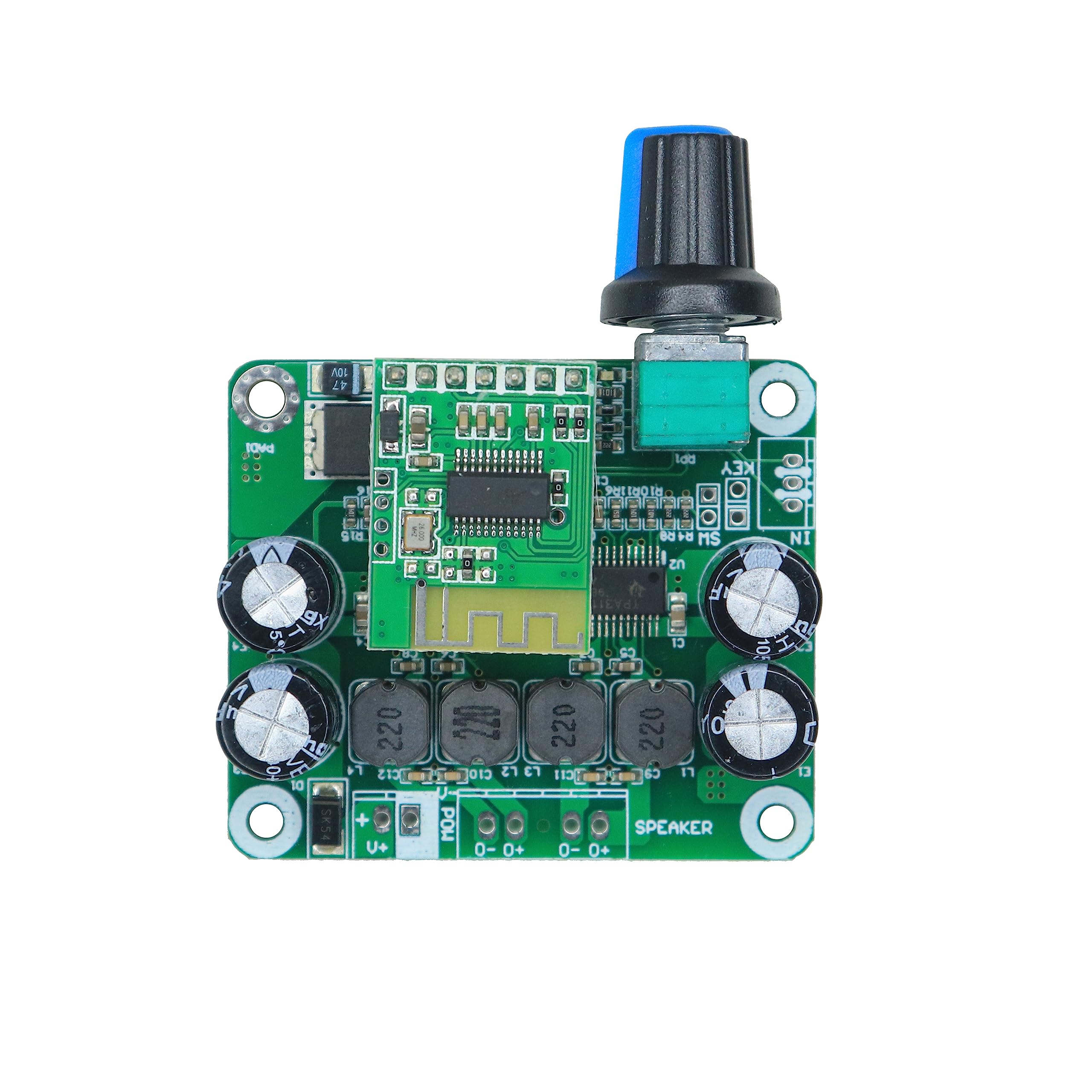 Ultimate Review of Electronic Spices Digital Audio Power Amplifier Board