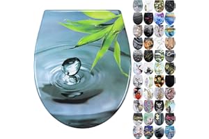 Fanmitrk Duroplast Toilet Seat Soft Close -Quick Release Toilet Lid with Top Fixing,Various Patterns to Choose from (UF819-39)