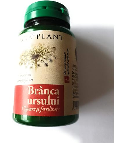 celestial plants Celestial Star English Lavender Plant