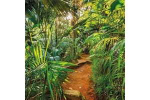 Komar 8-989 fototapeta Jungle Trail 368 x 254 cm tapeta, dekoracja ścienna, las, dżungla, tropiki, krajobraz 8-989, kolorowa, 368 x 248 cm (szerokość x wysokość)