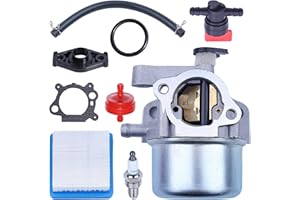 Gubeter 799866 790845 Kit d'entretien du Carburateur 491588S pour 675 675ex 725ex Series Engine Replace 799871 796707 794304 Craftsman 190CC Lawnmower