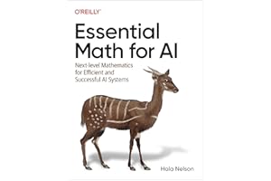Essential Math for AI: Next-Level Mathematics for Efficient and Successful AI Systems