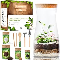 Kit Terrarium DIY XL 4L Avec Bouteille En Verre - Jardin En Bouteille à Faire Soi-Même - Complet Avec Outils Et Substrat - Sans Plantes - Idée Cadeau Créative