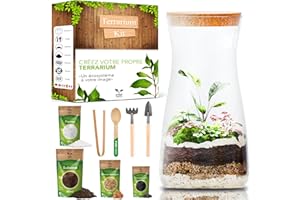 PYEF CRAFTS Kit Terrarium Plante DIY avec Verre - Kit Prêt-à-Pousser pour la Création de Jardin en Bouteille - Prêt-Pousser Terrarium - Set pour Faire Pousser (sans la Plante)