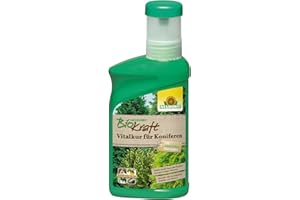 Neudorff BioKraft Vitalkur para coníferas vigoriza las plantas dañadas por las heladas o la sequía, 300 ml