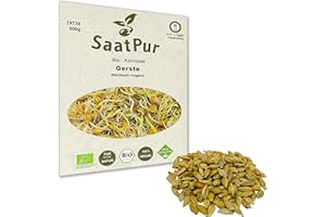 500g BIO Keimsprossen Gerste Gerstengrassaft Samen Microgreens Mikrogrün Sprossenanzucht Sprossensaat