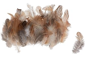 CREATIV COMPANY Plumes de poule, marron, 3 g