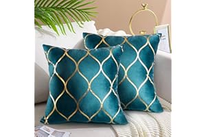 Hanrunsi Velvet Cushion Covers 45cmx45cm Set of 2 Teal Soft Solid Decorative Couch Cushions 45x45 Velvet Throw Pillow Covers for Sofa Couch Living Room Bedroom