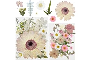 Attuslla 44 Pz Fiori Secchi per Resina, Rosa Fiori Secchi Veri Pressati Fiori, Naturali Pressati Fiori Pressati Secchi per Scrapbooking, Gioielli in Resina Epossidica